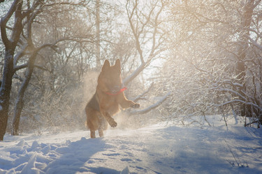 Similar image 10859066