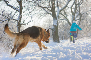 Similar image 10859067