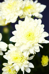 Similar image 10860526