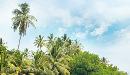 Similar image 10859105