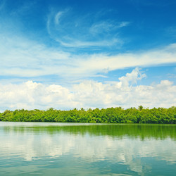 Similar image 10859106