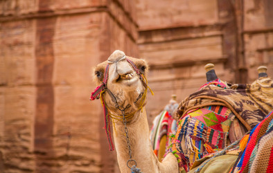 Similar image 10859006