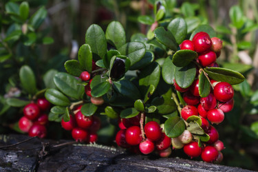 Similar image 10858964