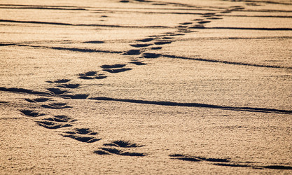 Similar image 10858966