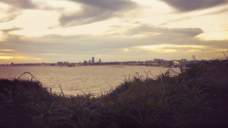 Similar image 10858899