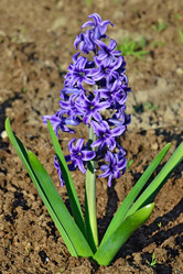 Similar image 10858901