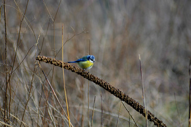 Similar image 10858882