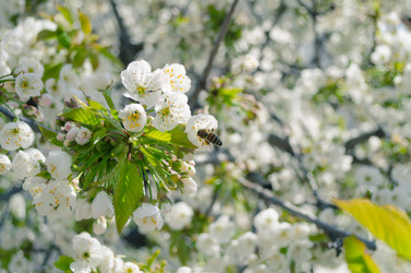 Similar image 10858883