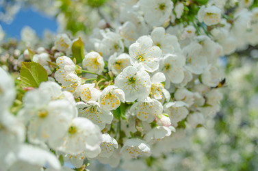 Similar image 10858884