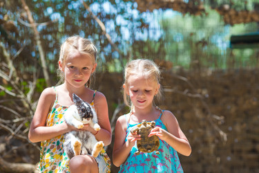 Similar image 10862358