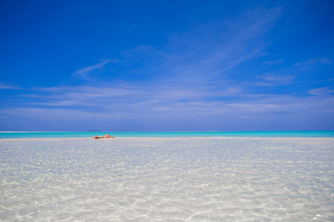 Similar image 10862577