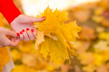 Similar image 10861711