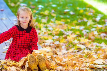 Similar image 10862442