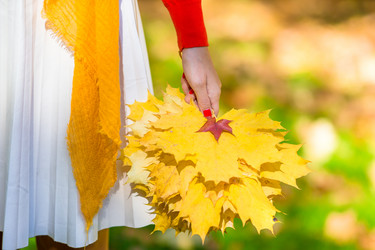 Similar image 10861713