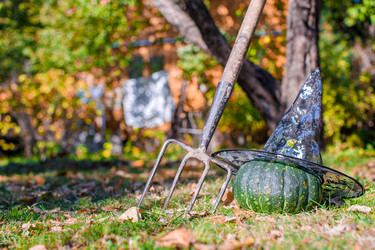 Similar image 10862663