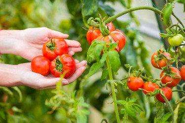 Similar image 10862685