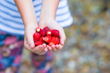 Similar image 10862741