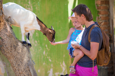 Similar image 10862693