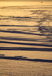 Similar image 10858947