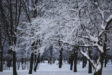 Similar image 10858948