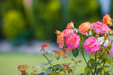 Similar image 10862595