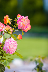 Similar image 10861159