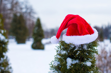 Similar image 10861198