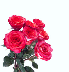 Similar image 10859090