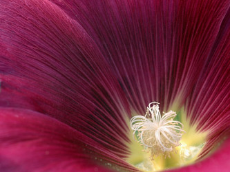 Similar image 10860427