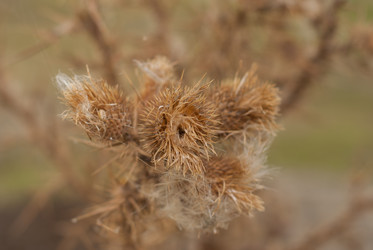 Similar image 10859108