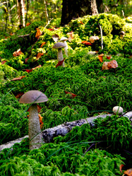 Similar image 10860428