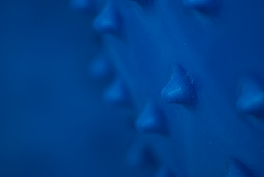 Similar image 10859214