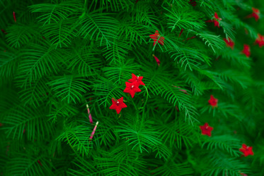 Similar image 10859215