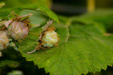 Similar image 10859216