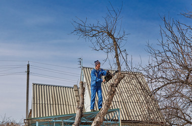 Similar image 10859116