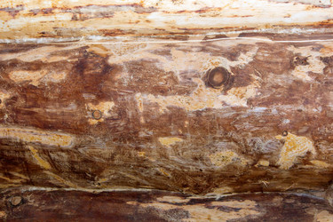 Similar image 10860756