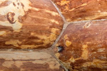 Similar image 10860757