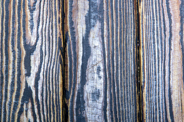 Similar image 10860758