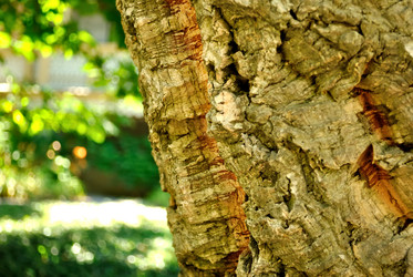 Similar image 10859443