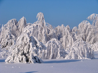 Similar image 10859522