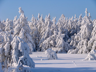 Similar image 10859523