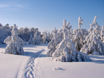 Similar image 10859524