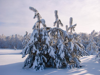 Similar image 10859526