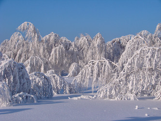 Similar image 10859527