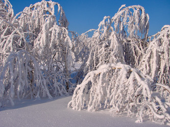 Similar image 10859528