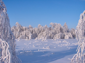 Similar image 10859529