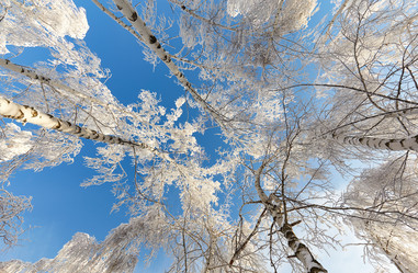 Similar image 10859530