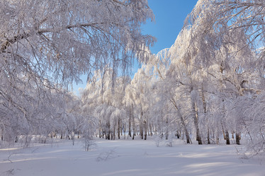 Similar image 10859531