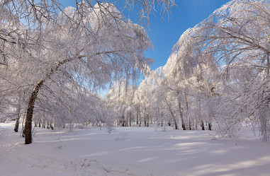 Similar image 10859446