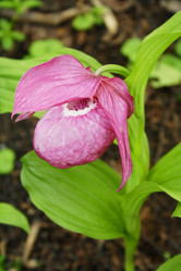 Similar image 10859624